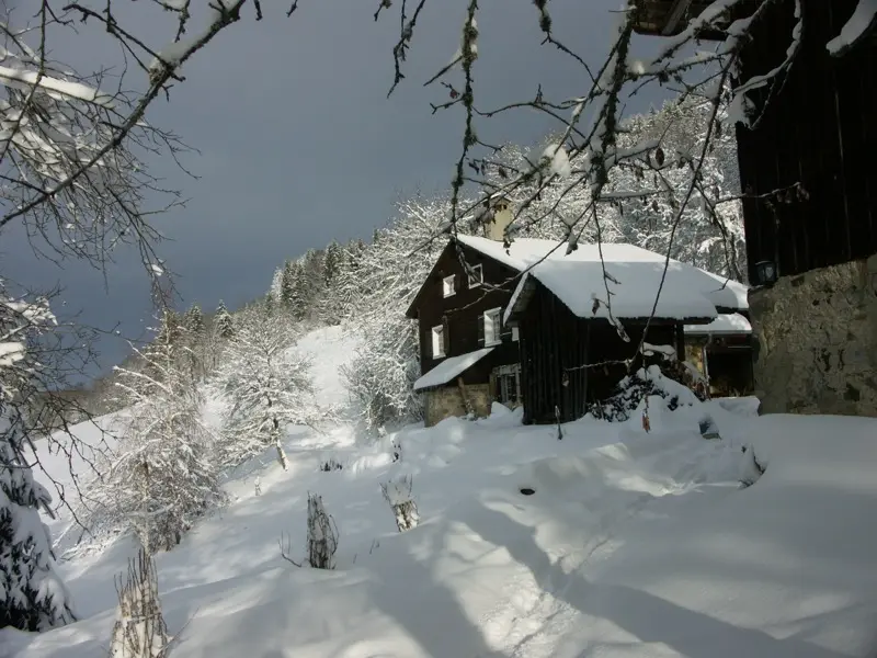 Terrain enneigé autour de la maison
