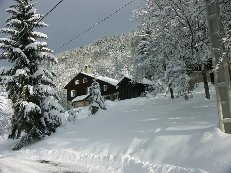 La maison et ses abords en hiver